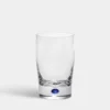 Intermezzo Blue Tumbler/Juice Add EngravingAdd Monogram